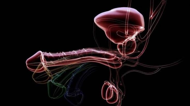 Proč se výtok objevuje, když jsou muži vzrušení a je to normální